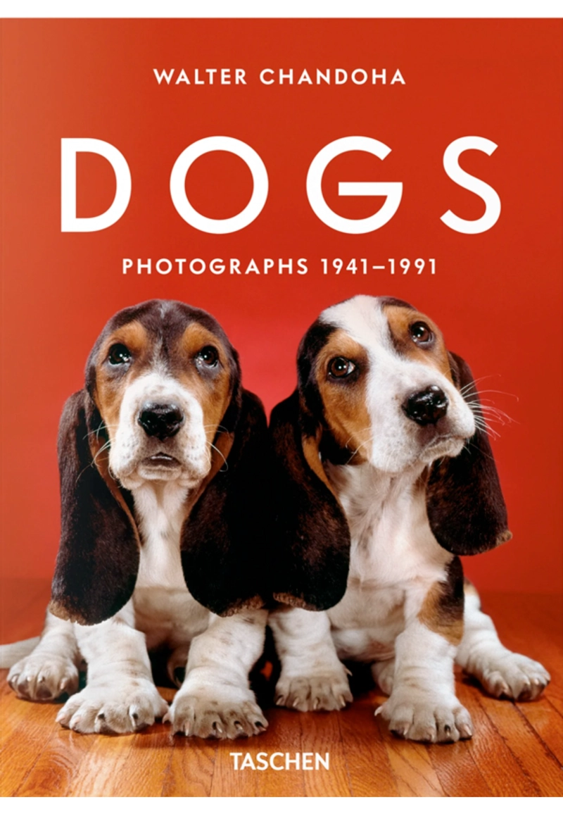WALTER CHANDOHA. DOGS. PHOTOGRAPHS 1941–1991 - 1