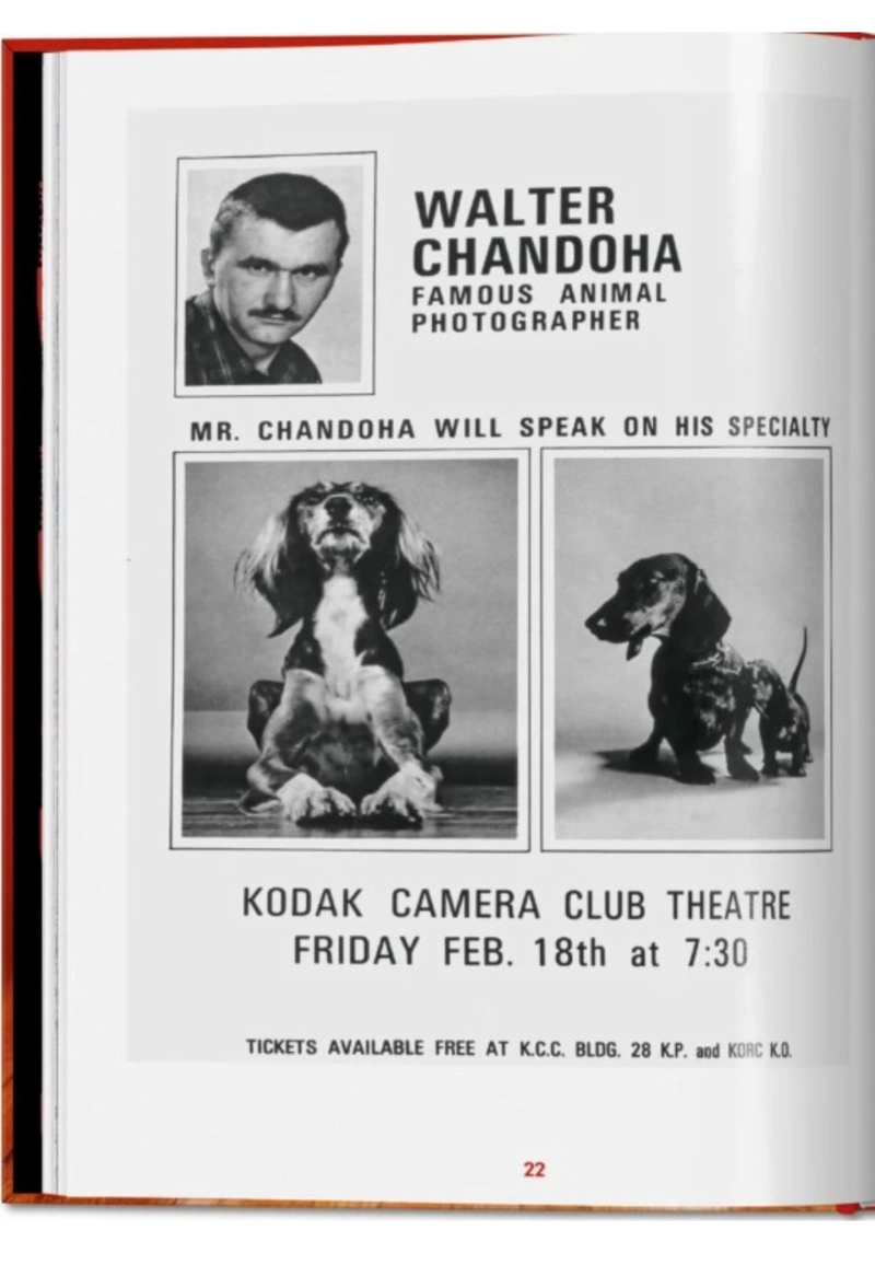 WALTER CHANDOHA. DOGS. PHOTOGRAPHS 1941–1991 - 2