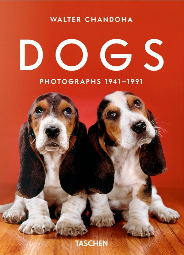 WALTER CHANDOHA. DOGS. PHOTOGRAPHS 1941–1991 - 5