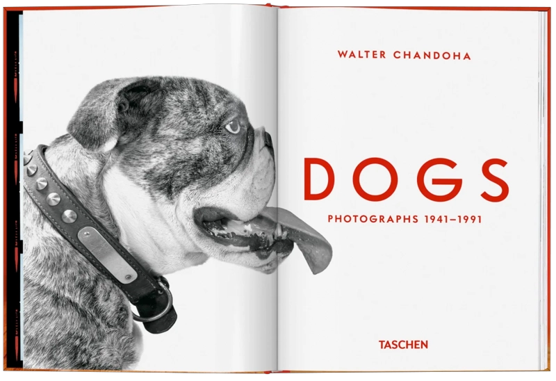 WALTER CHANDOHA. DOGS. PHOTOGRAPHS 1941–1991 - 6