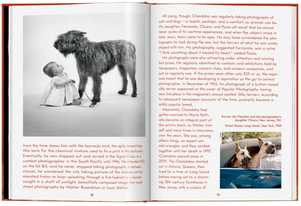 WALTER CHANDOHA. DOGS. PHOTOGRAPHS 1941–1991 - 8