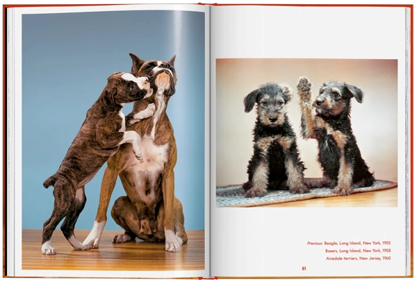 WALTER CHANDOHA. DOGS. PHOTOGRAPHS 1941–1991 - 9
