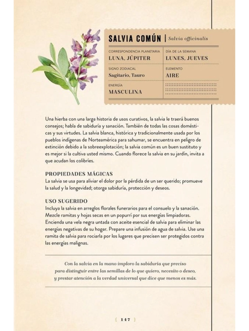 MAGIA DE LAS HIERBAS. MANUAL DE HECHIZOS, AMULETOS... - 3