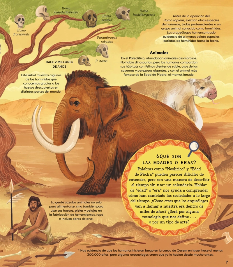 ARQUEOLOGIA. DESCUBRE LOS SECRETOS DEL PASADO - 3