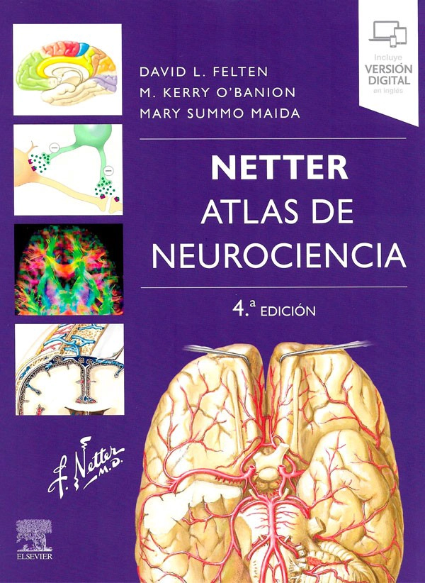 NETTER. ATLAS DE NEUROCIENCIA 4ª ED. - 1