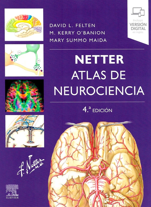 NETTER. ATLAS DE NEUROCIENCIA 4ª ED. - 4