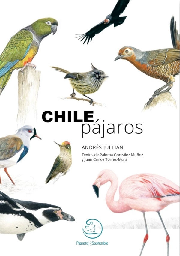 CHILE PAJAROS, UNA APROXIMACION - 2