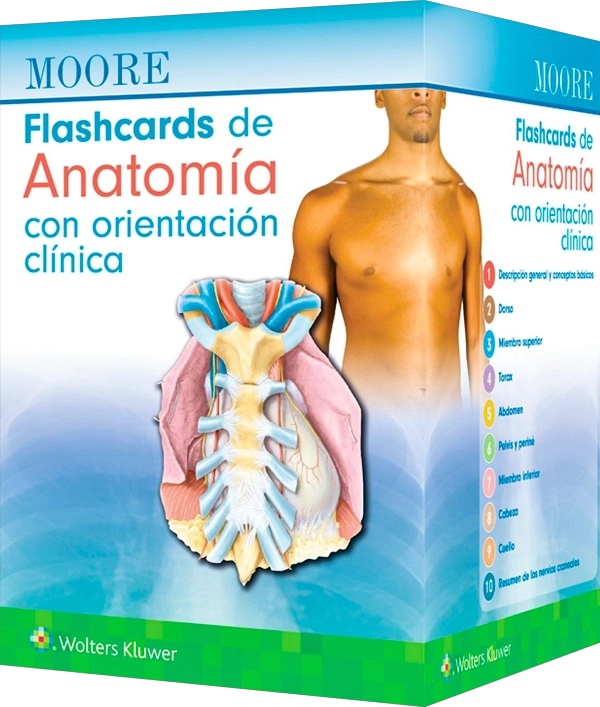 MOORE. FLASHCARDS DE ANATOMIA CON ORIENTACION CLINICA - 1