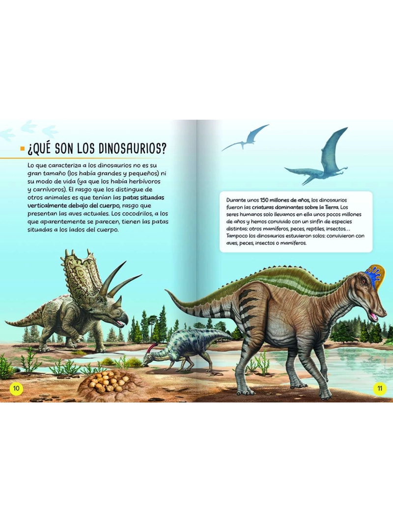 DESCUBRO Y JUEGO - DINOSAURIOS - 5
