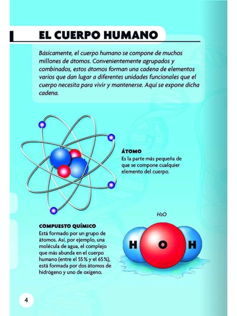 DESCUBRO Y JUEGO - EL CUERPO HUMANO - 3