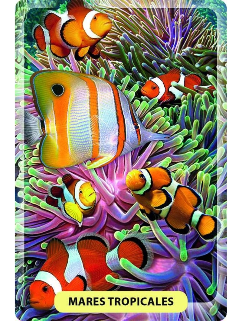 DESCUBRO Y JUEGO - ANIMALES MARINOS - 2