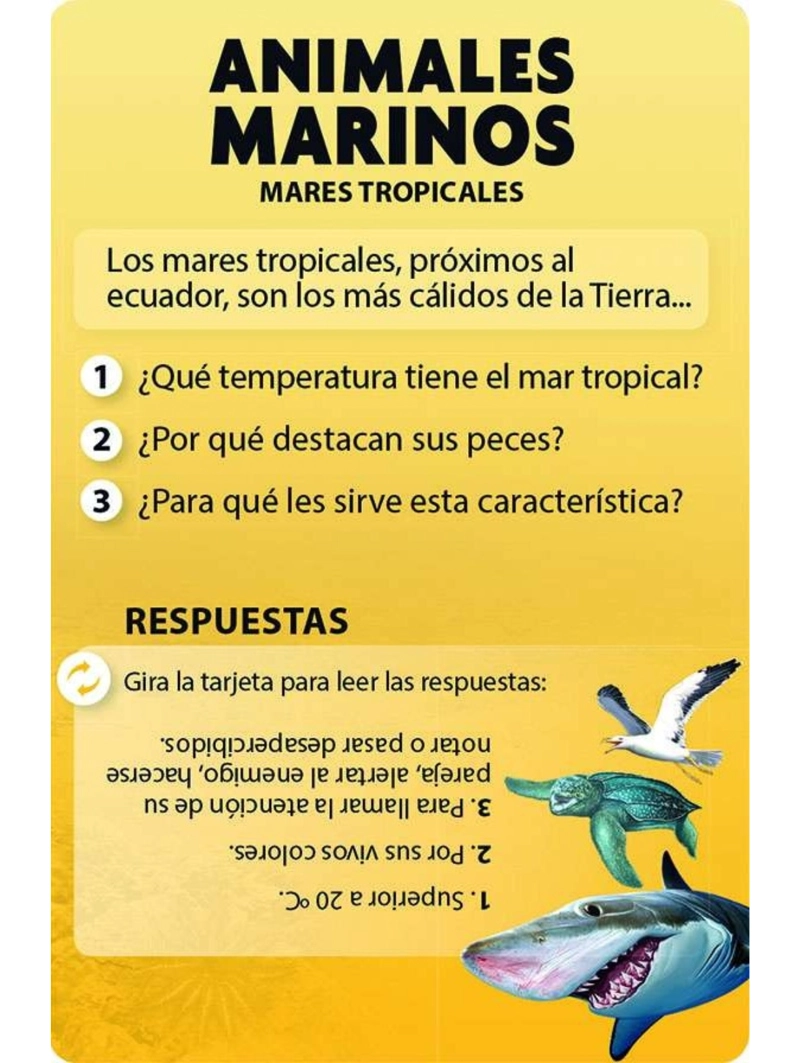 DESCUBRO Y JUEGO - ANIMALES MARINOS - 3