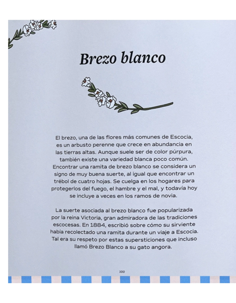 BUENA SUERTE - 2