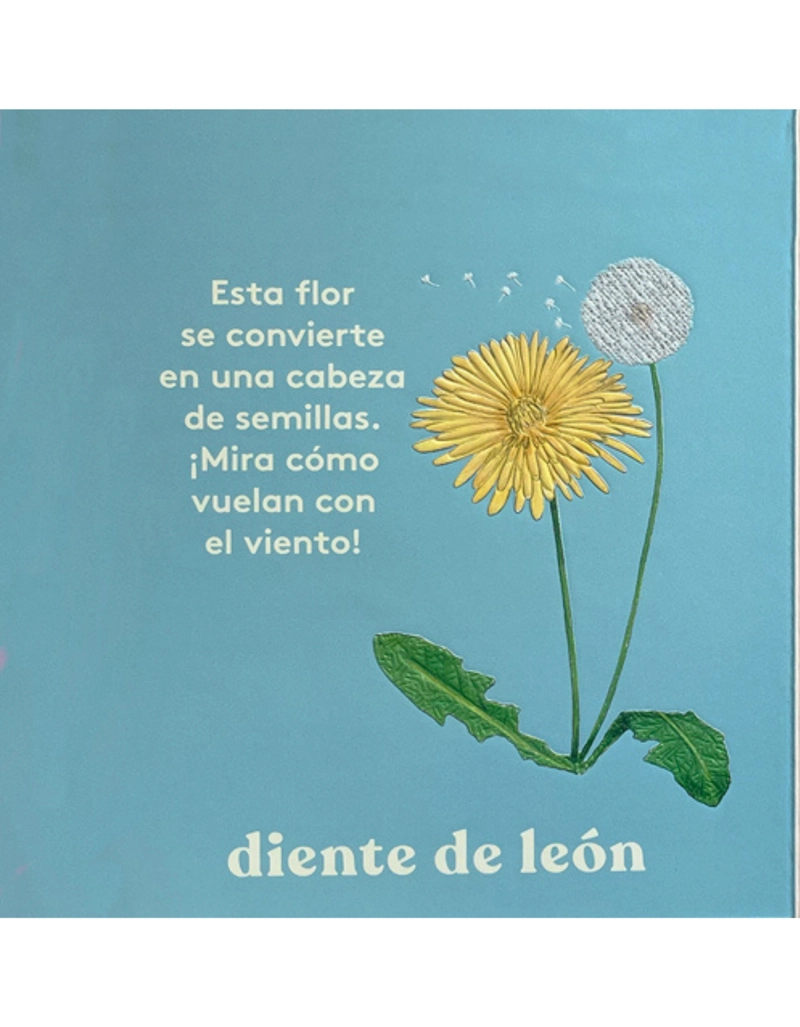 MIRA! UNA FLOR DE EDITORIAL CONTRAPUNTO - 2