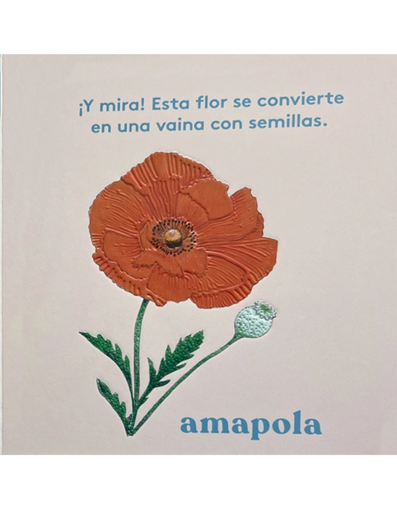 MIRA! UNA FLOR DE EDITORIAL CONTRAPUNTO - 3