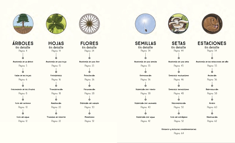 CICLOS DE LA NATURALEZA - 2