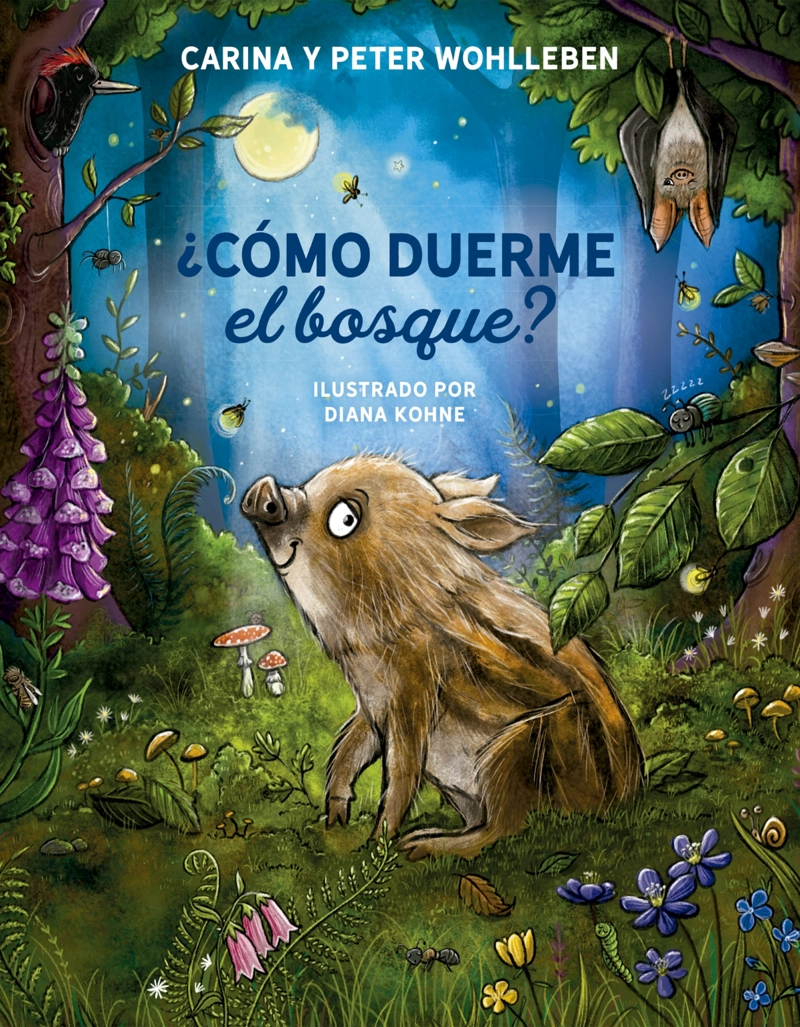 ¿COMO DUERME EL BOSQUE? - 1
