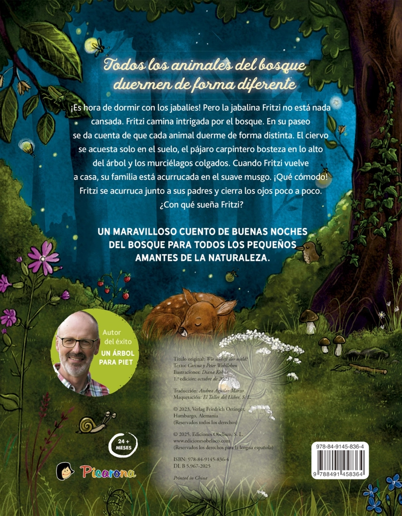 ¿COMO DUERME EL BOSQUE? - 3