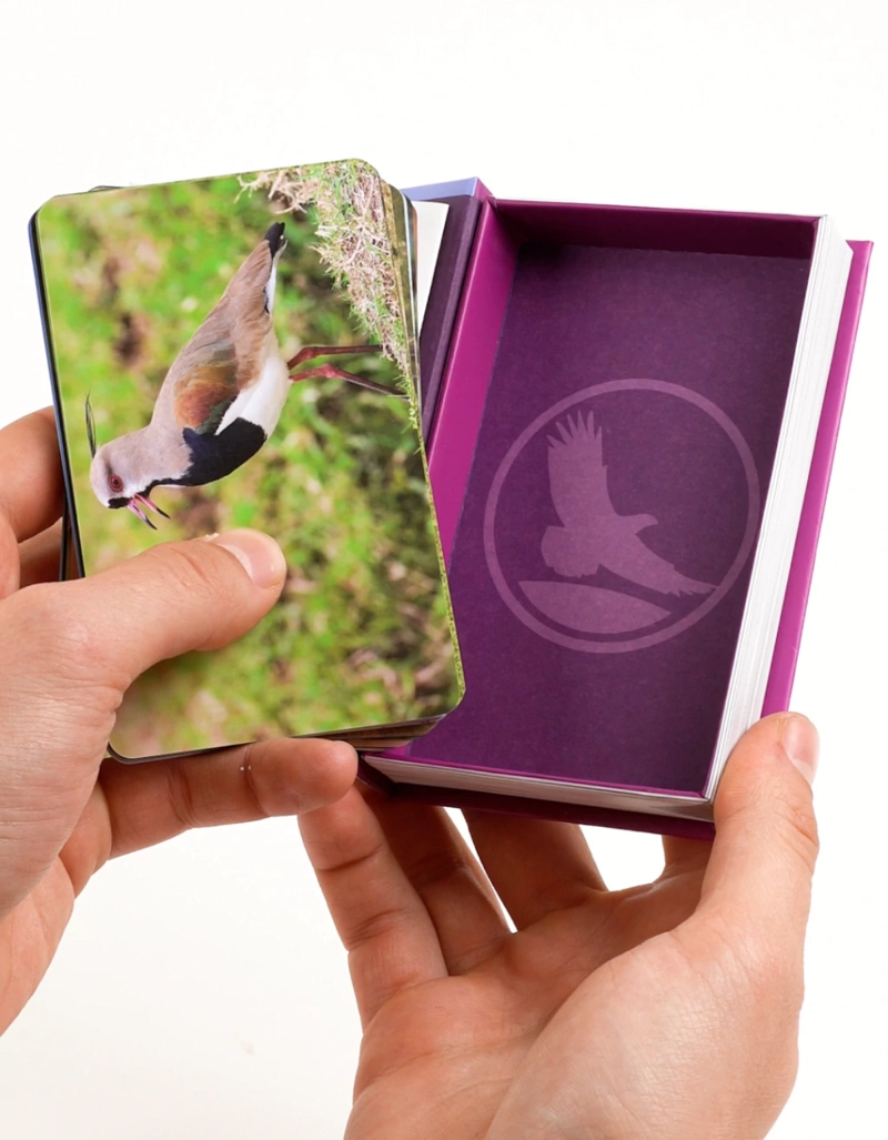 ENCICLOPEDIA DE AVES - 2