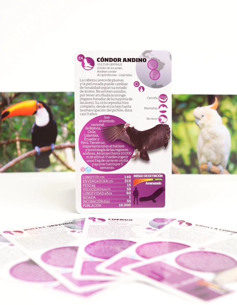 ENCICLOPEDIA DE AVES - 5