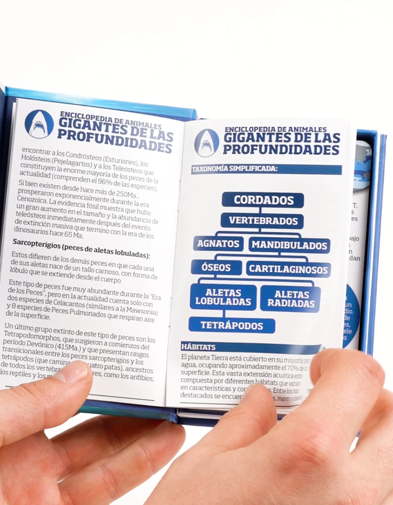 ENCICLOPEDIA DE ANIMALES. GIGANTES DE LAS PROFUNDIDADES - 2