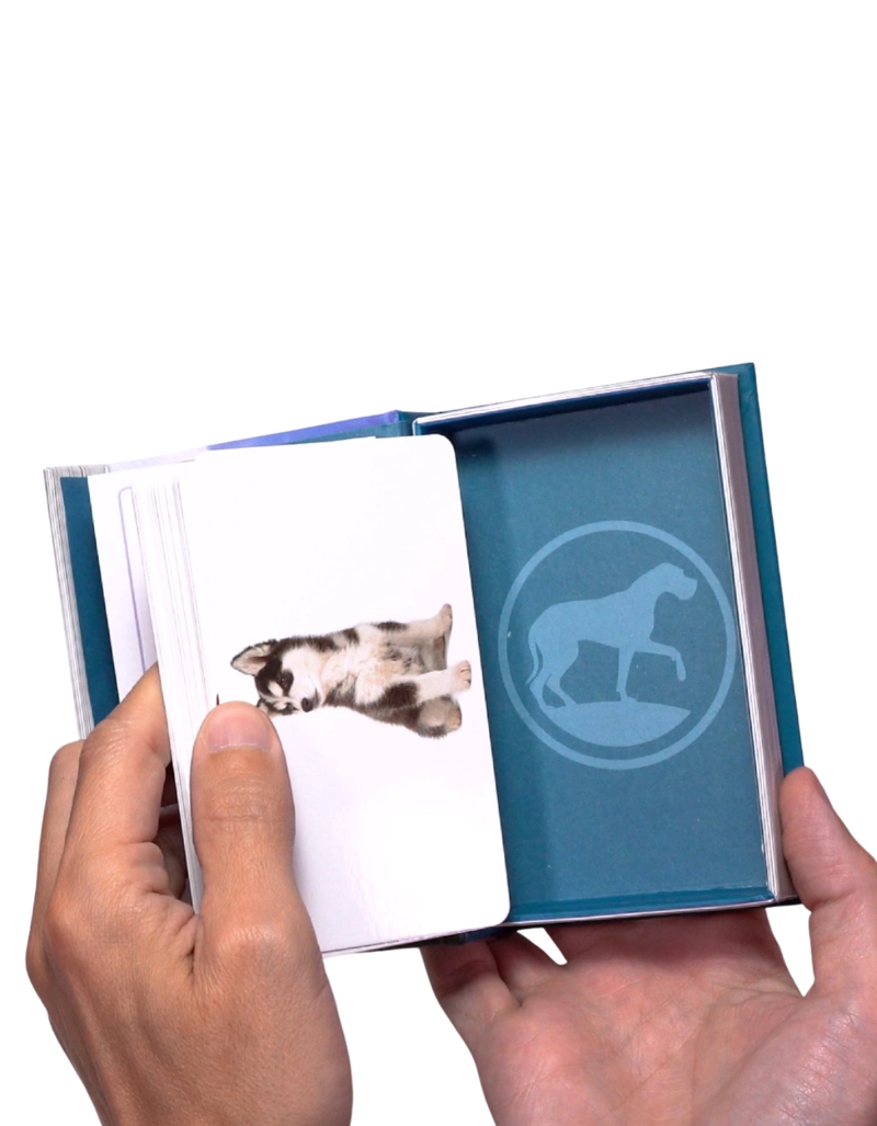 ENCICLOPEDIA DE RAZAS DE PERROS - 3