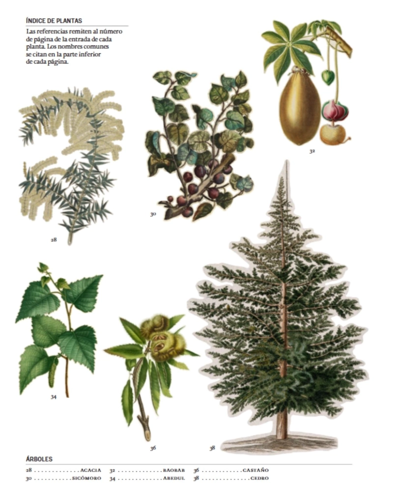 EL LENGUAJE SECRETO DE LAS PLANTAS - 2