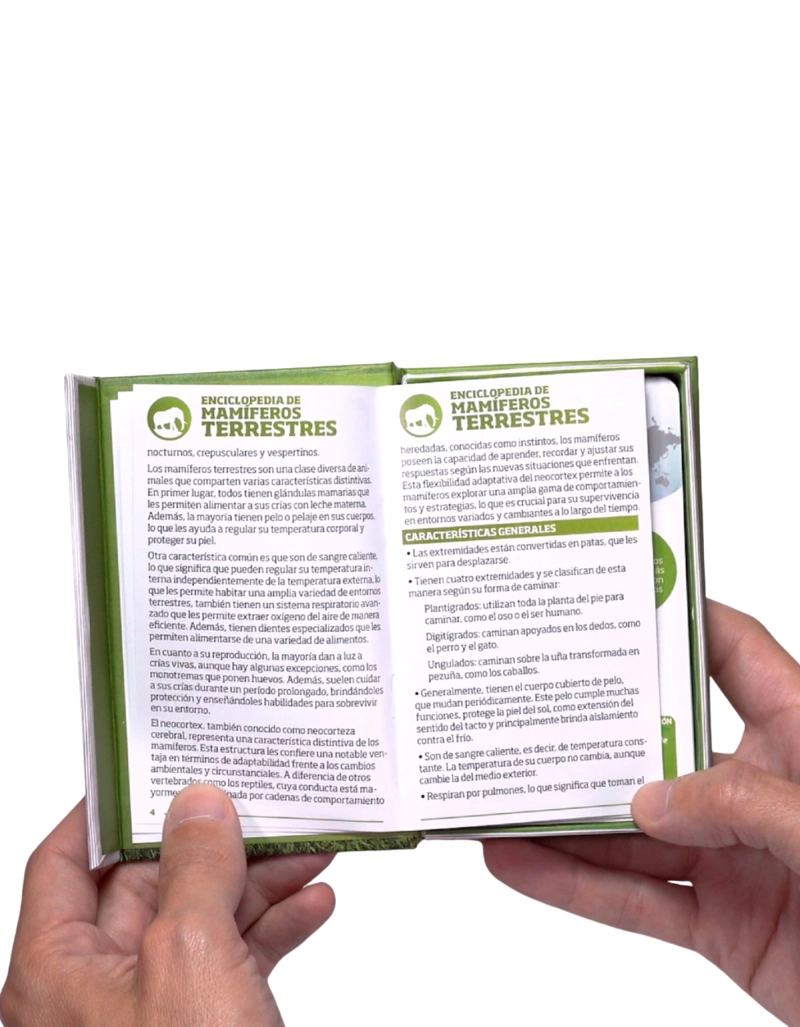 ENCICLOPEDIA DE MAMIFEROS TERRESTRES - 2