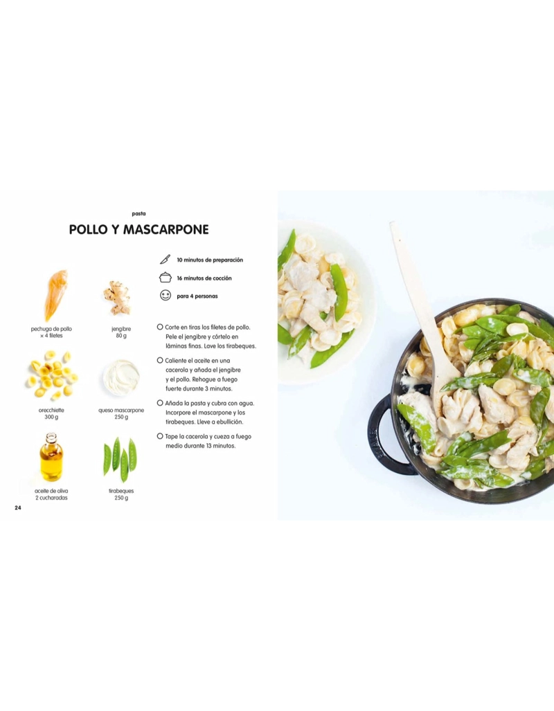 PLATOS UNICOS. 100 RECETAS - 2
