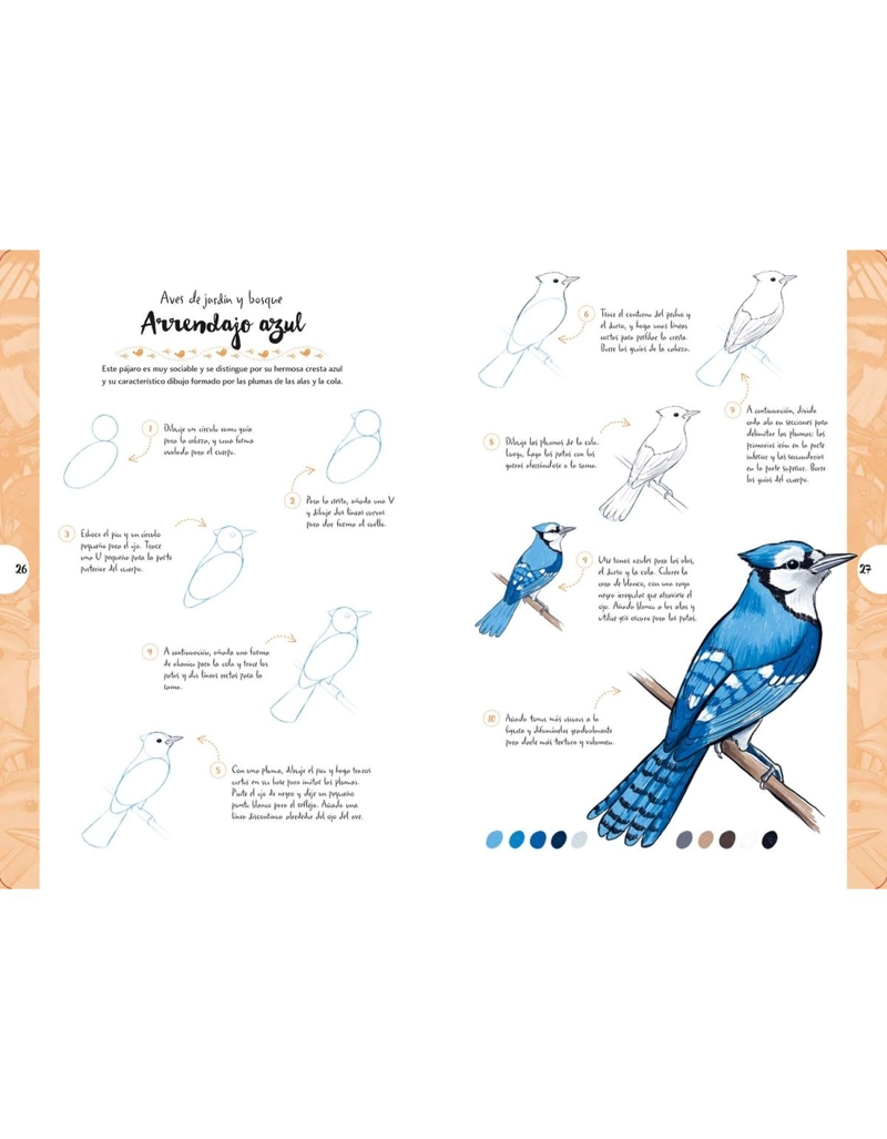 DIBUJAR EN 10 PASOS. AVES - 2