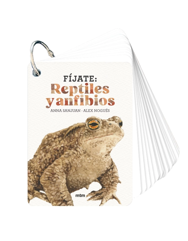 FIJATE: RE PTILES Y ANFIBIOS - 1
