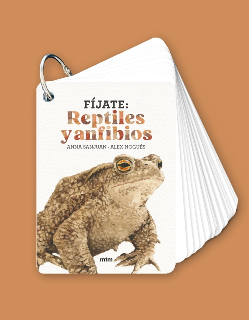 FIJATE: RE PTILES Y ANFIBIOS - 3
