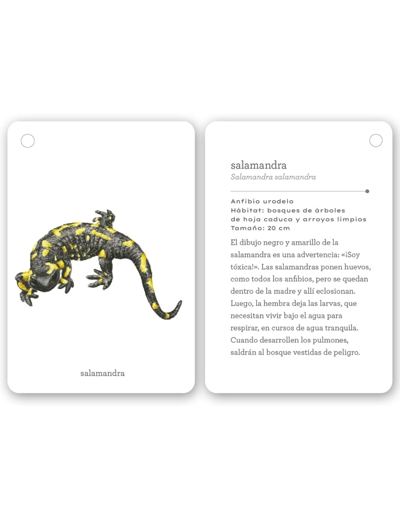 FIJATE: RE PTILES Y ANFIBIOS - 5