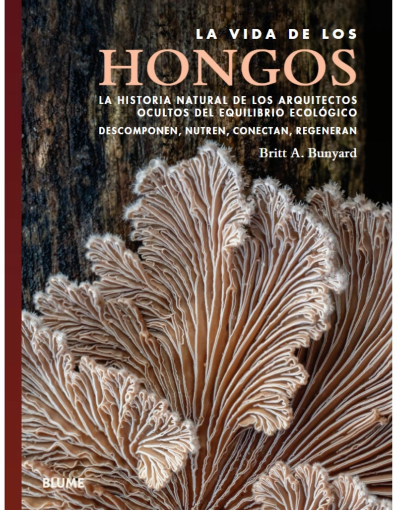 LA VIDA DE LOS HONGOS - 1