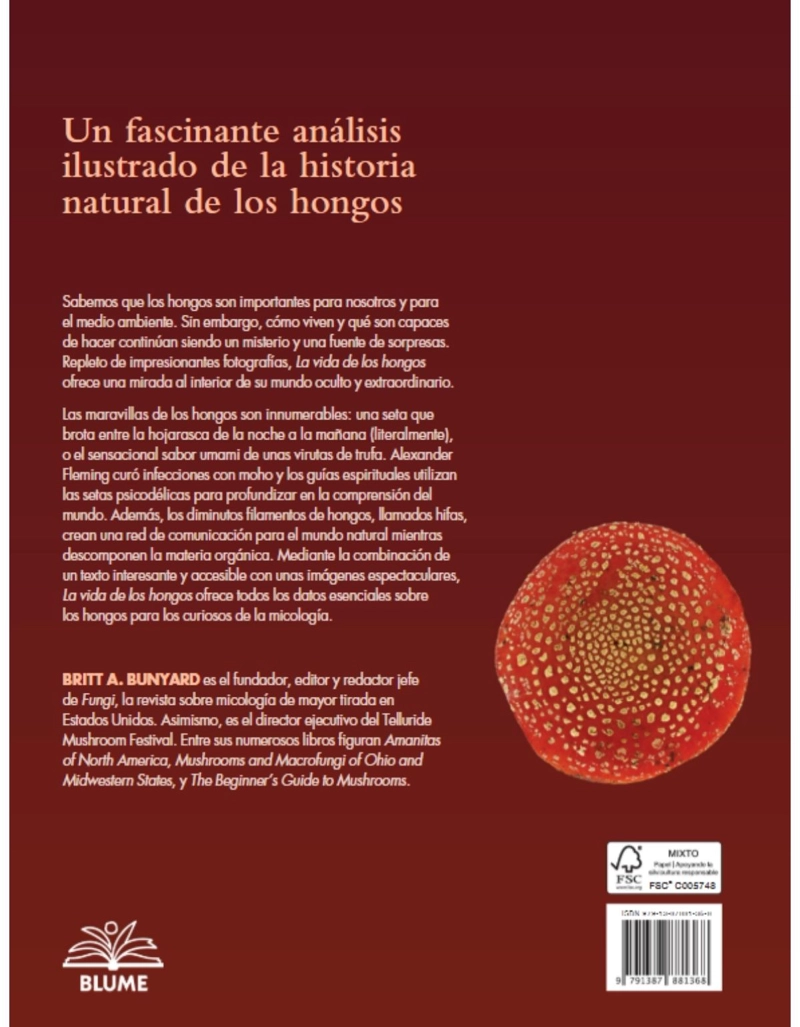 LA VIDA DE LOS HONGOS - 3