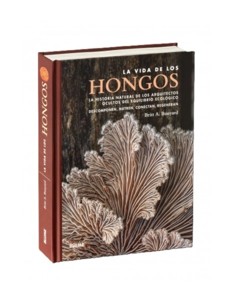 LA VIDA DE LOS HONGOS - 4