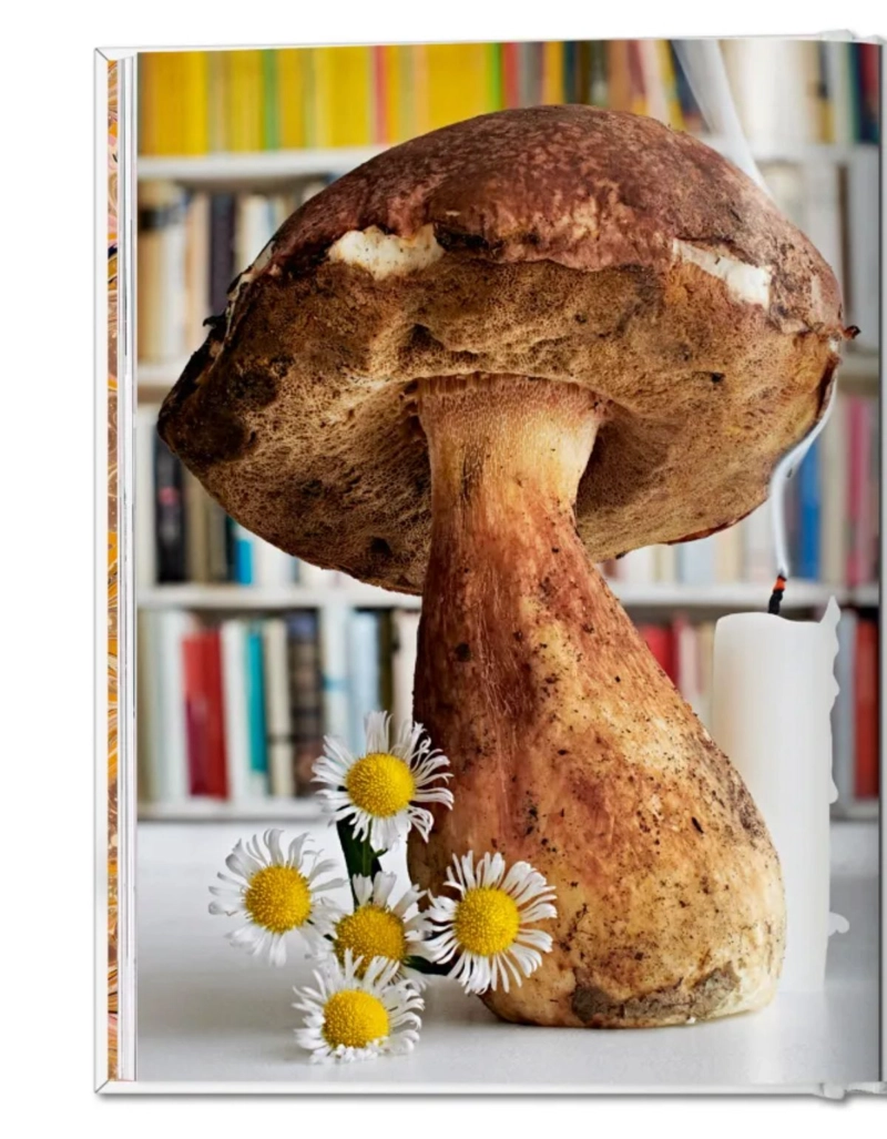 THE GOURMAND'S MUSHROOM. A COLLECTION OF STORIES AND RECIPES - 2
