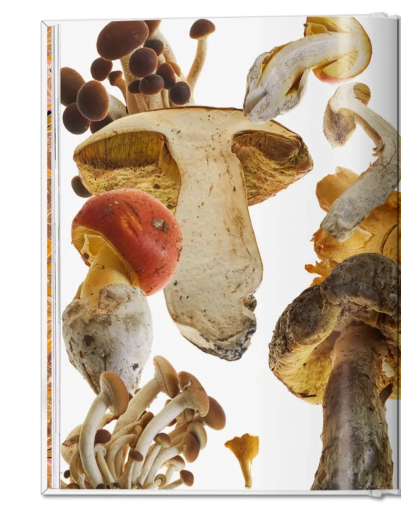 THE GOURMAND'S MUSHROOM. A COLLECTION OF STORIES AND RECIPES - 4