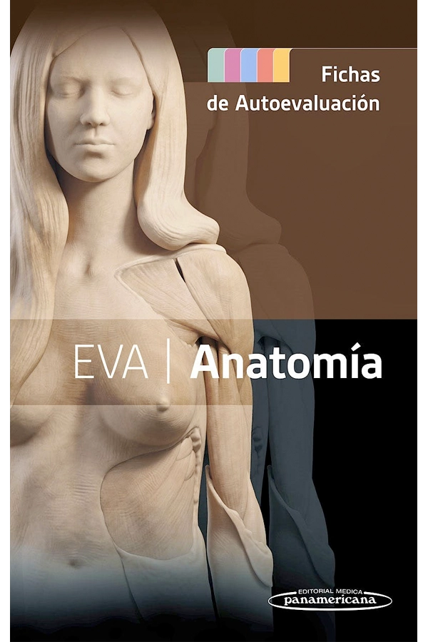 EVA. ANATOMIA FICHAS DE AUTOEVALUACION - 1