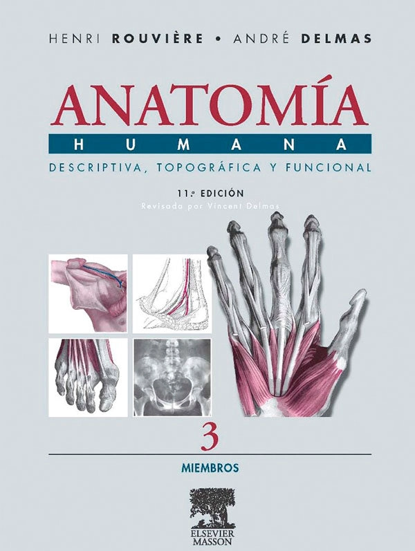 ANATOMIA HUMANA DESCRIPTIVA, TOPOGRAFICA Y FUNCIONAL. TOMO 3: MIEMBROS - 1