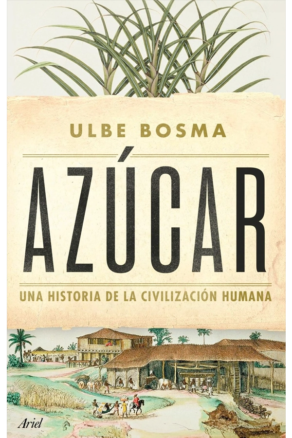 AZUCAR, DE PEDRO PACHECO GONZALEZ - 1