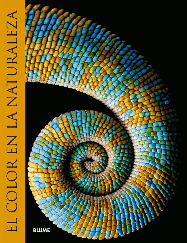 EL COLOR EN LA NATURALEZA - 1