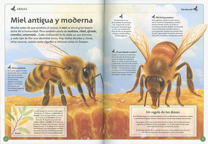 EL MAGNIFICO LIBRO DE LAS ABEJAS - 2