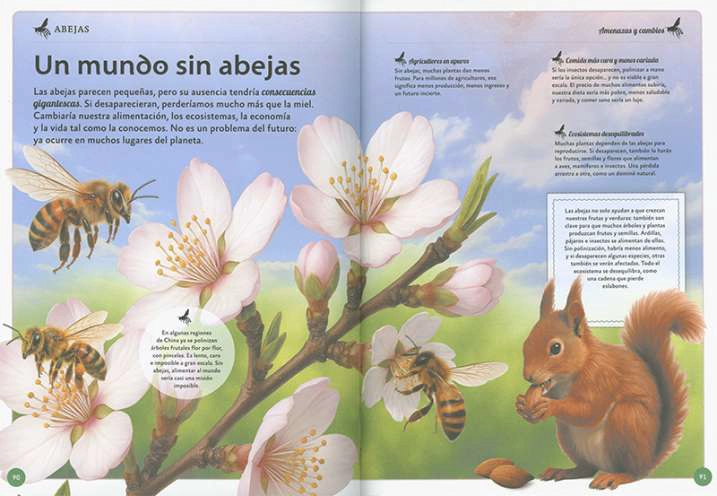 EL MAGNIFICO LIBRO DE LAS ABEJAS - 4