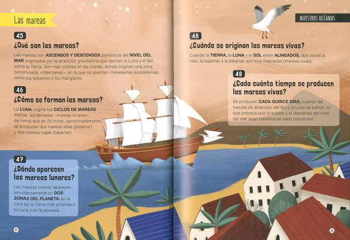250 PREGUNTAS Y RESPUESTAS QUE DEBES CONOCER SOBRE - LOS ANIMALES DEL MAR - 2