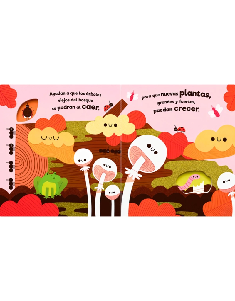 AMIGOS HONGOS - 3