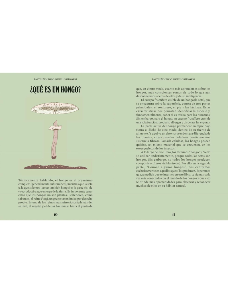 HONGOS. UNA GUIA PARA CURIOSOS - 4