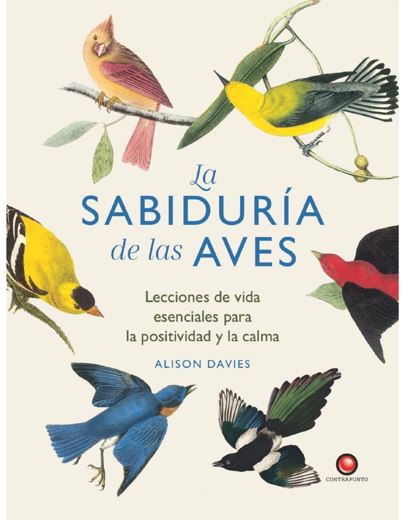 LA SABIDURIA DE LAS AVES - 1