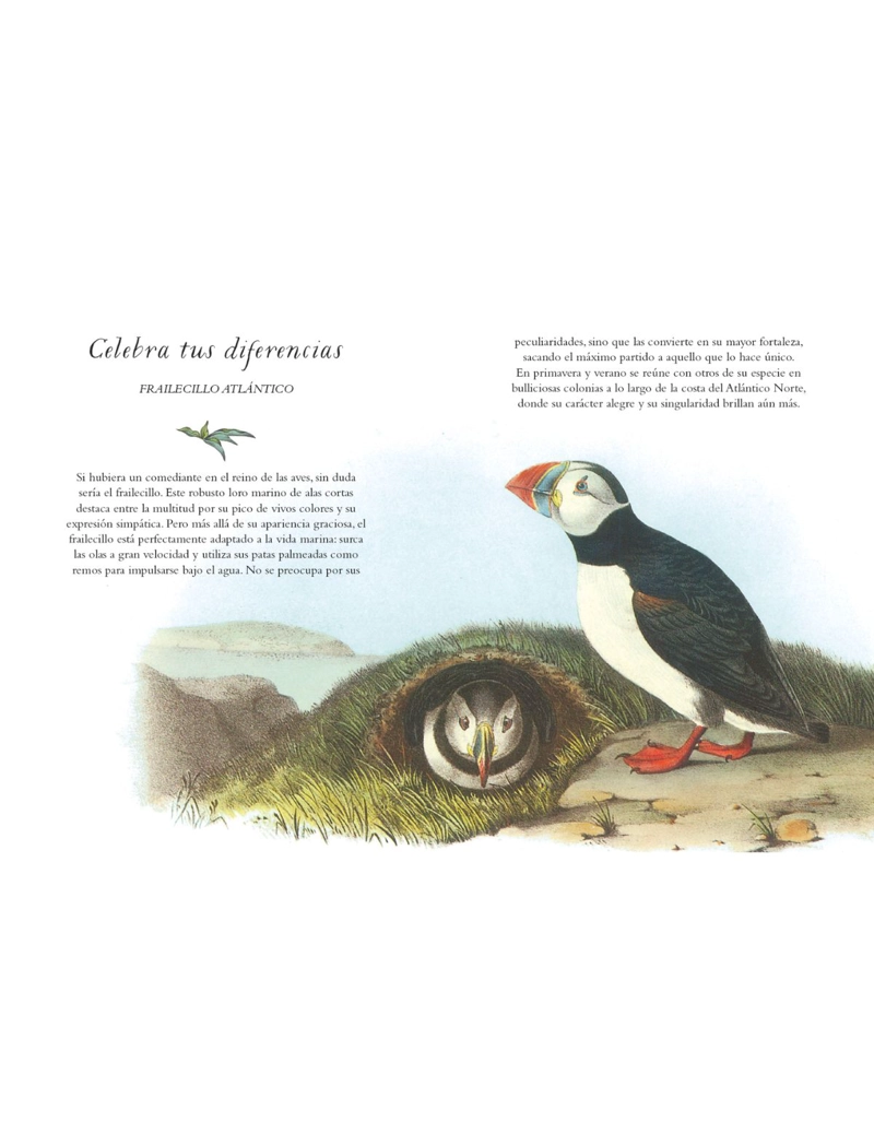 LA SABIDURIA DE LAS AVES - 3