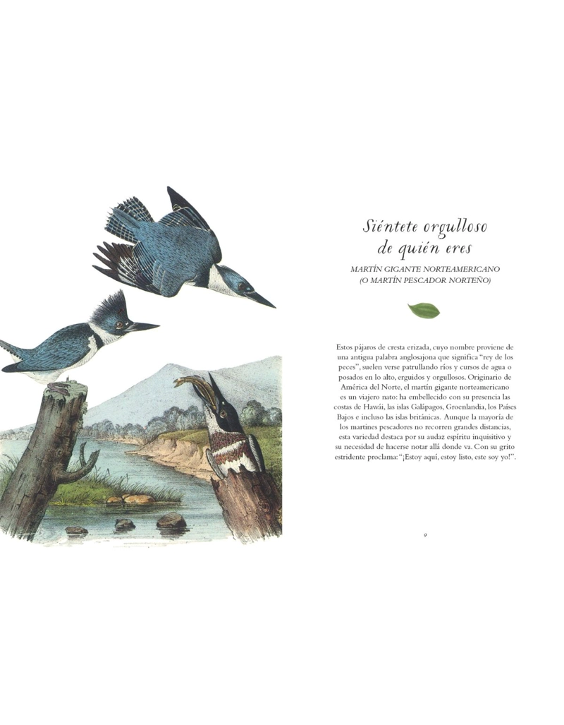 LA SABIDURIA DE LAS AVES - 4